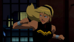 Wonder Girl Primer – Young Justice